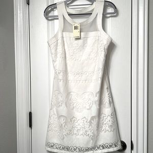 Max studio size small lace/mesh dress. NWT